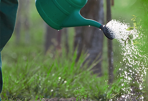 EPL Group Background Image